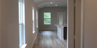927 Lady Bird Gallery 3