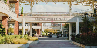 LionsGate North Gallery 24