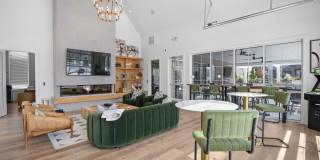 Alaina Park Gallery 22