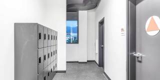 The Rinrose Gallery 31