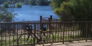 Arden Oaks Gallery 33