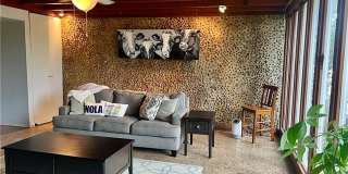 115 GRENADINE Street Gallery 18