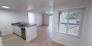 Wellington Place Apartments Gallery 12