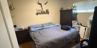Updated 2BD Duplex | Edgewater Location Gallery 6