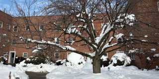 330 S Broadway unit: C-1 Gallery 1