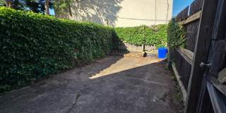 3848 TERRACE Street Gallery 8