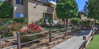 Peppertree Apartments | Convenience, Comfort & Community Gallery 1