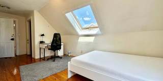 No Fee on Massive Apt in Packards Corner Near BU!  Pro Managed, XL Rooms, and Parking for rent! Gallery 8