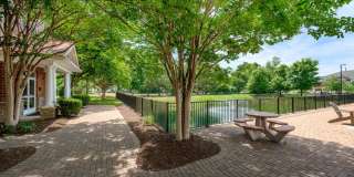 The Promenade at Red Apple Town Center Gallery 70