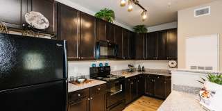 Settler’s Landing Gallery 5