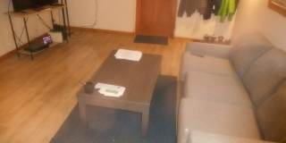 4418 W Lake Harriet Pkwy Apt 1 Gallery 5