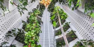 3951 Gulf Shore Blvd N unit: 1203 Gallery 28