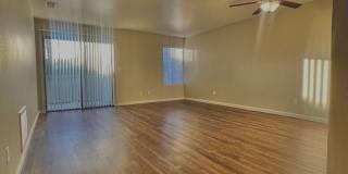 Edgewater Gallery 51
