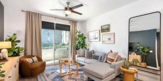 Vine at Panorama Vine at Panorama Gallery 1