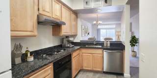 Beautiful Brisbane condo Gallery 1