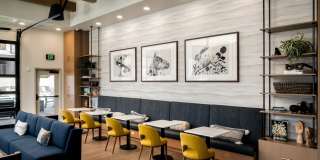 Argyle at Southridge Gallery 20