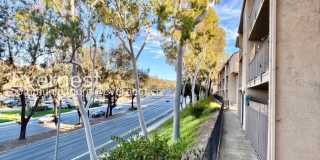 2344 Hosp Way Gallery 18