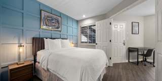 505 Collection Gallery 24