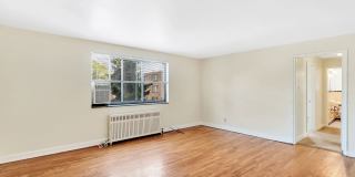 Treehaven Apartments Gallery 20
