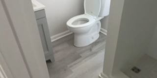 Charming 1BR apartment in Norfolk Gallery 12