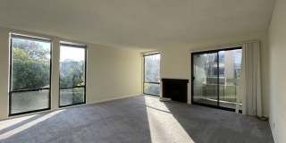 1081 Beach Park Blvd #211 Gallery 5
