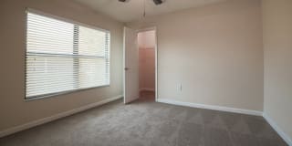 Palms of Clearwater Gallery 45