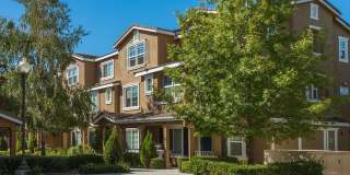 Homecoming At Creekside Gallery 33