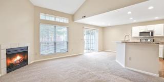 4929 Aspen Pine Boulevard Gallery 4