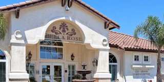 Bella Rose Gallery 3