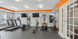 Canton Woods Gallery 20