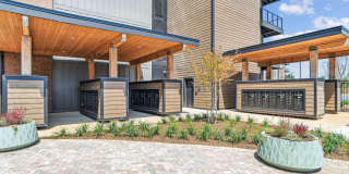 Trailside NoDa Gallery 21