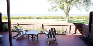 View Carlton Arms Gallery 13