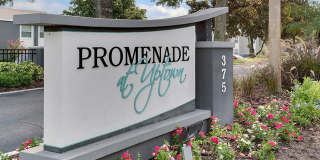 Promenade at Uptown Promenade at Uptown Gallery 24