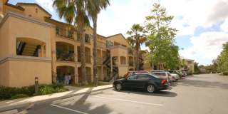 Sunny Creek Gallery 22