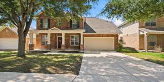 213 LIECK CV Gallery 1