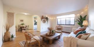 Treehaven Apartments Gallery 11