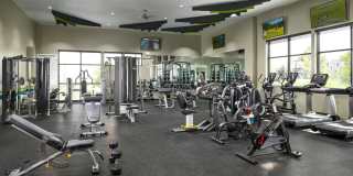 The Lanterns at Brighton Crossings Gallery 1