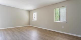 Rosen at North Hills Gallery 5