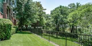 The Village Westside Gallery 11