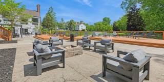 ReNew Woodland North and South Gallery 41