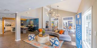 Alena Apartments Gallery 22