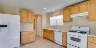 Move-In Ready Corner Lot Home with Open Floor Plan & Walk-In Closet Gallery 13