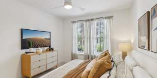 Tapestry Palmera Gallery 19