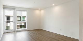 Elements Gallery 186