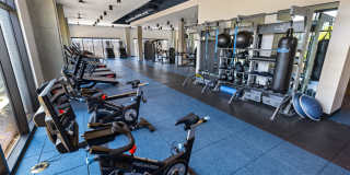 The Emery Gallery 23