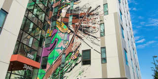 Mariposa Apartments - Affordable Housing Gallery 3