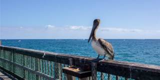 2900 NE 14th Street Causeway unit: 514 Gallery 51