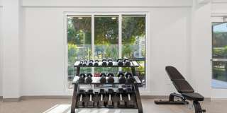 The Lucille Apartments Gallery 16