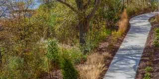 CovePointe at The Landings Gallery 9