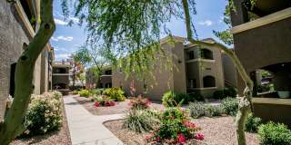 RidgeGate Apartments Gallery 24